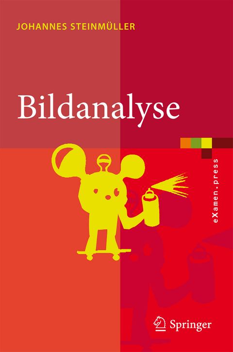 Bildanalyse - Johannes Steinmüller