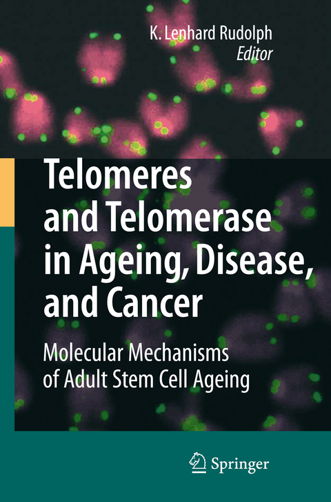 Telomeres and Telomerase in Aging, Disease, and Cancer - 