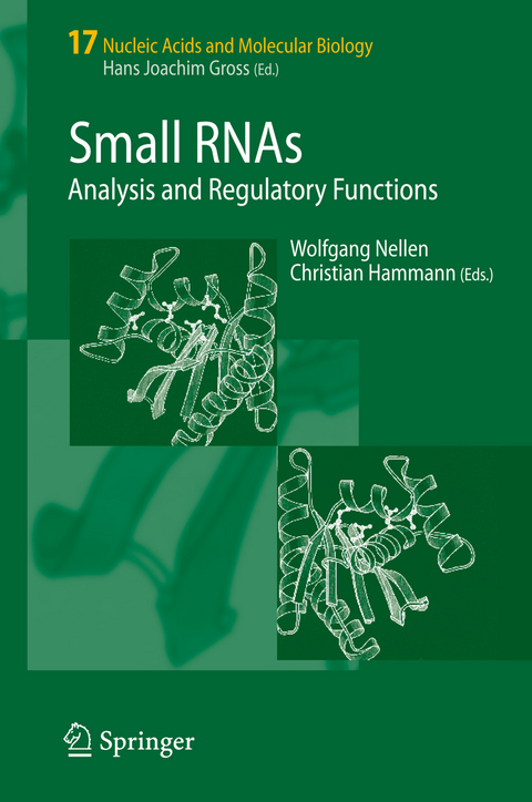 Small RNAs: - 