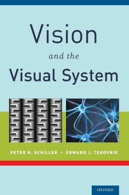 Vision and the Visual System - Peter H. Schiller, Edward J. Tehovnik
