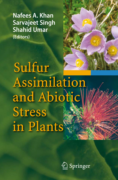 Sulfur Assimilation and Abiotic Stress in Plants - 