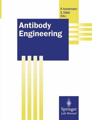 Antibody Engineering - 