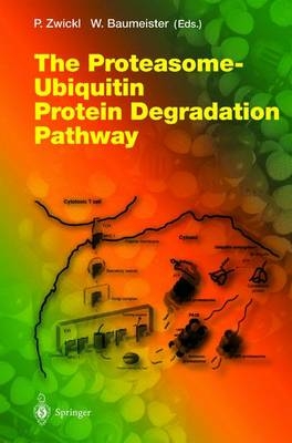 The Proteasome-Ubiquitin Protein Degradation Pathway - 