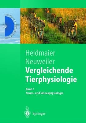 Vergleichende Tierphysiologie. Band 1 + 2. Neuro- und Sinnesphysiologie / Vegetative Physiologie / Vergleichende Tierphysiologie - Gerhard Heldmaier, Gerhard Neuweiler
