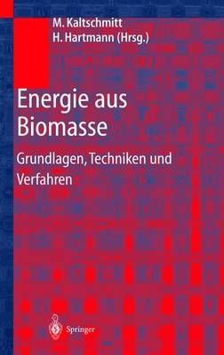 Energie aus Biomasse - 