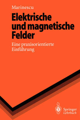 Elektrische und magnetische Felder - Marlene Marinescu