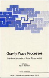 Gravity Wave Processes - 