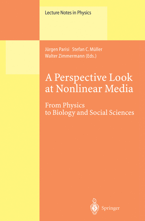 A Perspective Look at Nonlinear Media - 