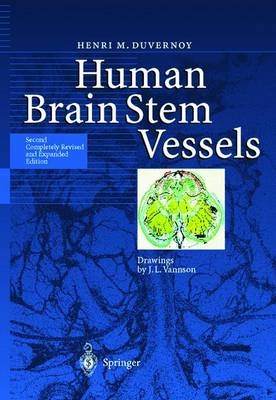 Human Brain Stem Vessels - Henri M. Duvernoy