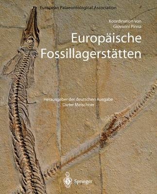 Europäische Fossillagerstätten - 