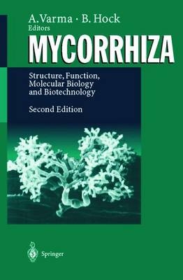 Mycorrhiza - 