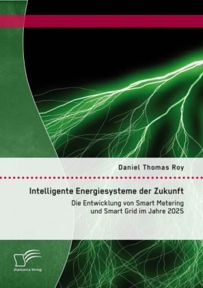 Intelligente Energiesysteme der Zukunft: Die Entwicklung von Smart Metering und Smart Grid im Jahre 2025 - Daniel Thomas Roy