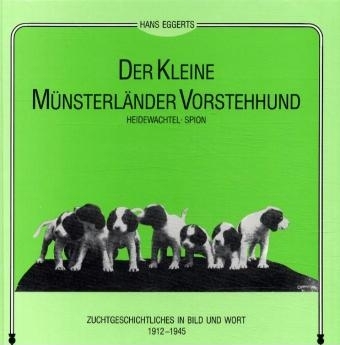 Der Kleine Münsterländer Vorstehhund Heidewachtel Spion