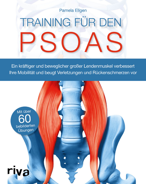 Training für den Psoas - Pamela Ellgen