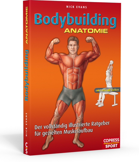 Bodybuilding Anatomie - Nick Evans