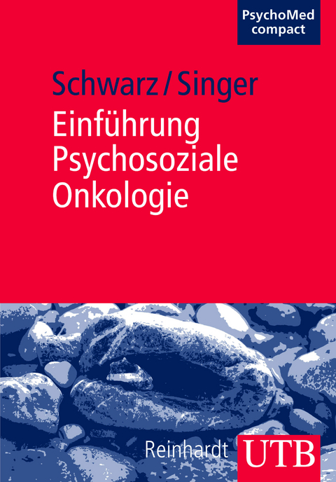 Einführung Psychosoziale Onkologie - Reinhold Schwarz, Susanne Singer