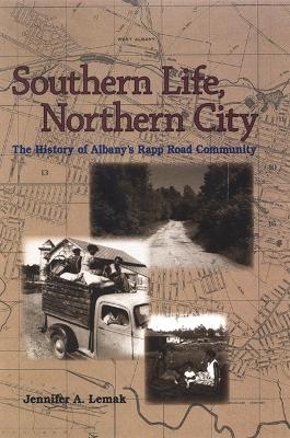 Southern Life, Northern City - Jennifer A. Lemak