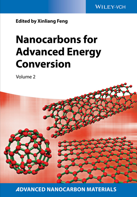 Nanocarbons for Advanced Energy Conversion - 