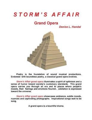 Storm's Affair - Denise L Handal