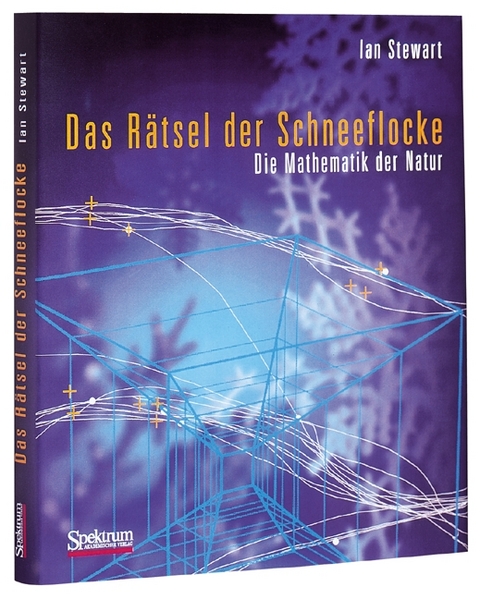 Das Rätsel der Schneeflocke - Ian Stewart