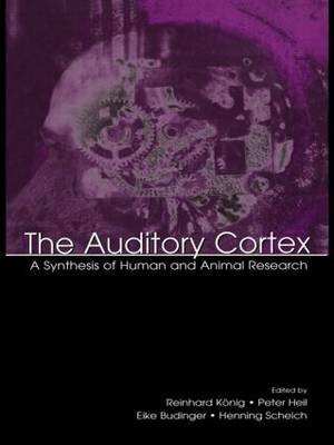 The Auditory Cortex - 