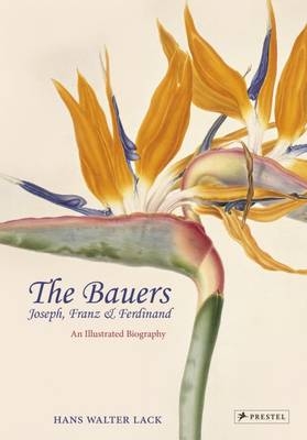 The Bauers - Hans Walter Lack