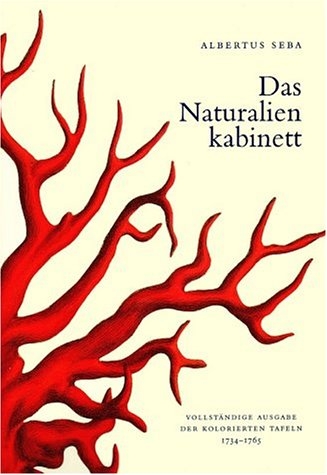 Seba - Das Naturalienkabinett - Irmgard Muesch