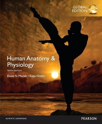 Human Anatomy & Physiology, OLP with eText, Global Edition - Elaine Marieb, Katja Hoehn