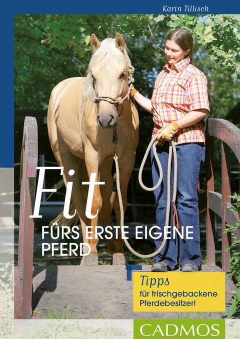 Fit fürs erste eigene Pferd - Karin Tillisch