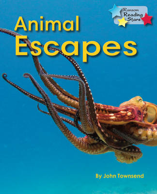 Animal Escapes -  Townsend John