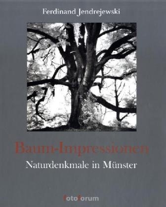 Baum-Impressionen - Ferdinand Jendrewski