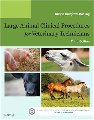 Large Animal Clinical Procedures for Veterinary Technicians - Kristin J. Holtgrew-Bohling