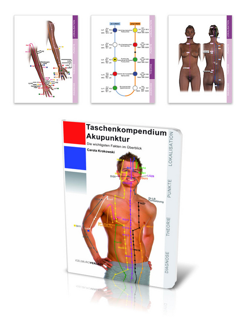 Taschenkompendium Akupunktur - Carola Krokowski