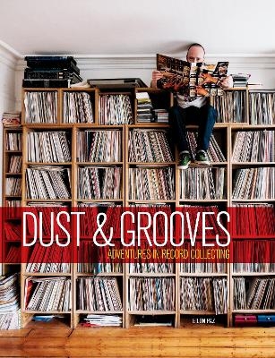 Dust & Grooves - Eilon Paz