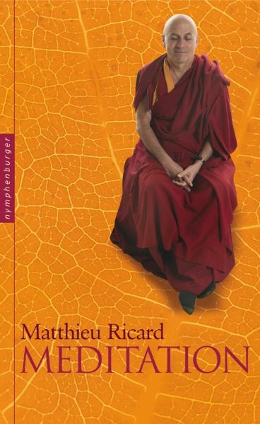 Meditation - Matthieu Ricard