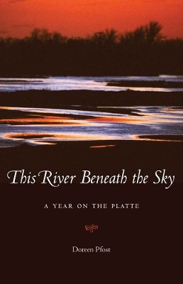 This River Beneath the Sky - Doreen Pfost