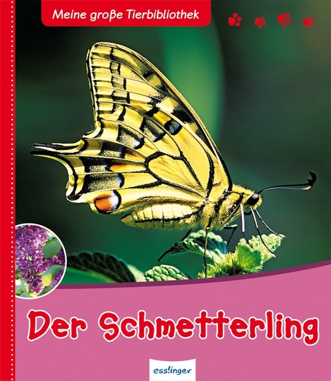 Meine große Tierbibliothek: Der Schmetterling - Valérie Tracqui