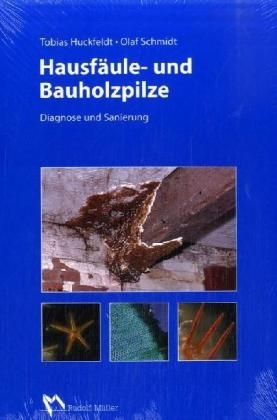 Hausfäule- und Bauholzpilze - Tobias Huckfeldt, Olaf Schmidt