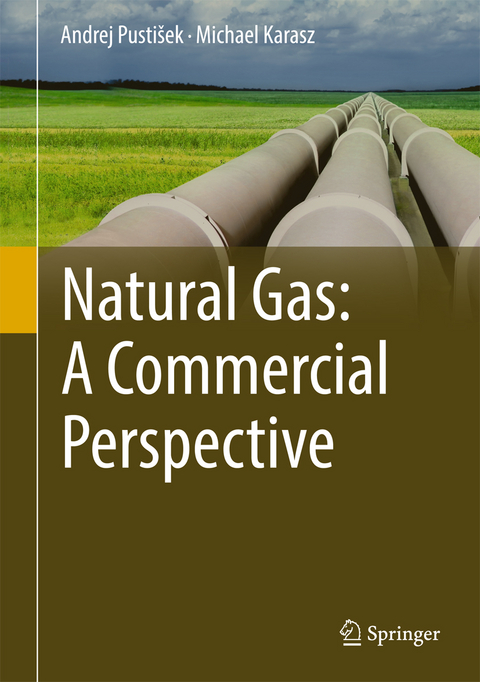 Natural Gas: A Commercial Perspective - Andrej Pustišek, Michael Karasz