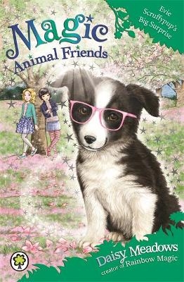 Magic Animal Friends: Evie Scruffypup's Big Surprise - Daisy Meadows
