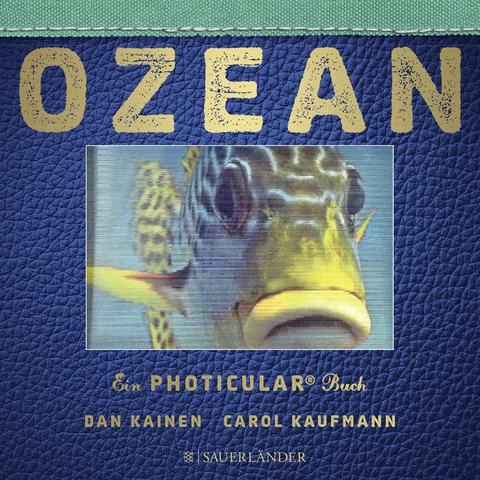 Ozean - Dan Kainen, Carol Kaufmann