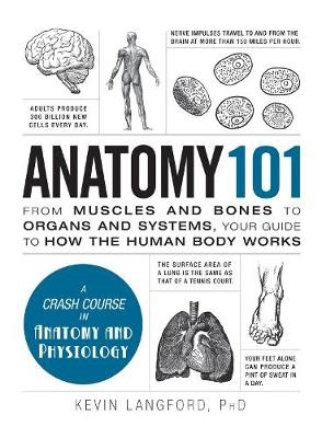 Anatomy 101 - Kevin Langford