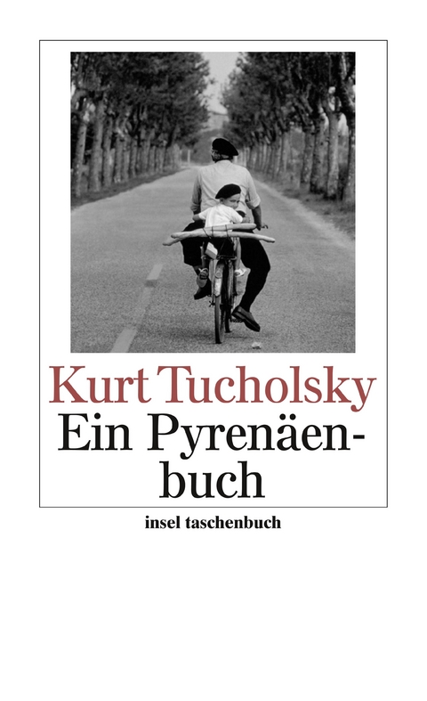 Ein Pyrenäenbuch - Kurt Tucholsky