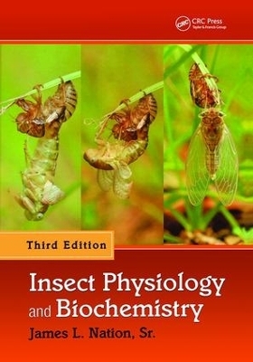 Insect Physiology and Biochemistry - Sr. Nation  James L.