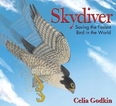 Skydiver - Celia Godkin