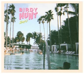 Shoplift, 1 Audio-CD -  Birdy Hunt