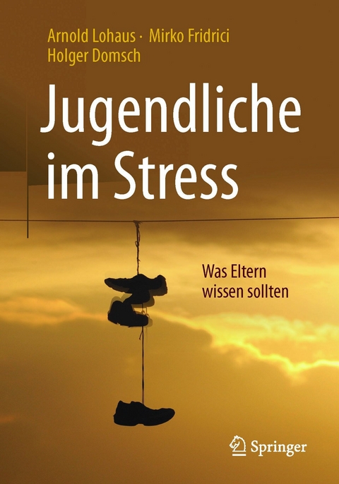 Jugendliche im Stress - Arnold Lohaus, Mirko Fridrici, Holger Domsch