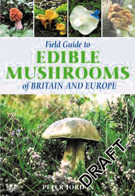 Field Guide To Edible Mushrooms Of Britain And Europe - Peter Jordan