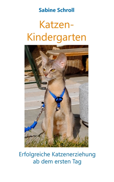 Katzen-Kindergarten -  Sabine Schroll
