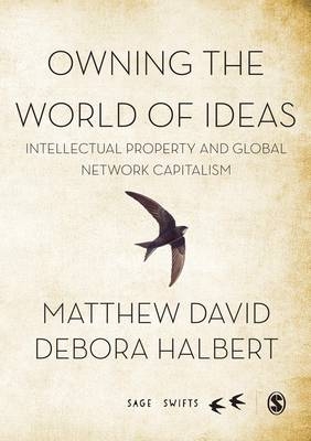 Owning the World of Ideas - Matthew David, Debora Halbert